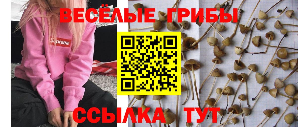 Галлюциногенные грибы мухоморы Барабинск