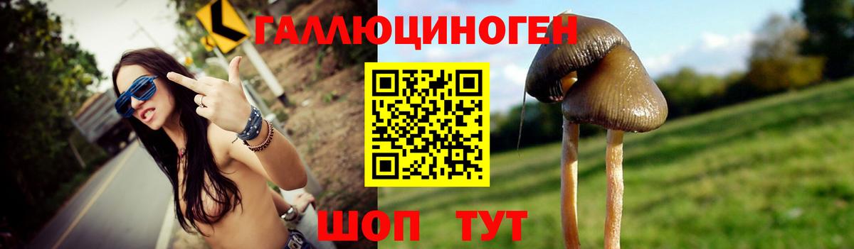 Псилоцибиновые грибы Cubensis  Вход с VPN  Барабинск 
